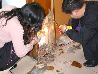 塘廈白蟻防治公司除掉白蟻一次需要多長時間