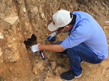 鳳崗白蟻驗收——白蟻對河岸堤壩會產(chǎn)生哪些危害