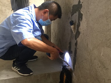 虎門白蟻防治機(jī)構(gòu)為什么要對(duì)白蟻進(jìn)行普查